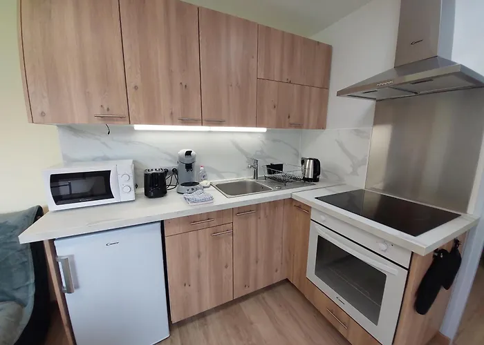 Le Merle Enchante Apartment *